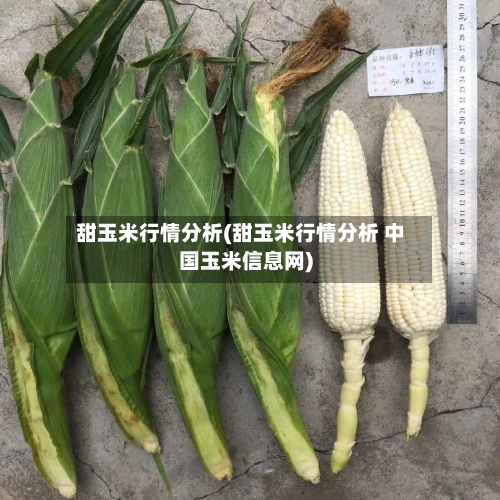甜玉米行情分析(甜玉米行情分析 中国玉米信息网)-第2张图片